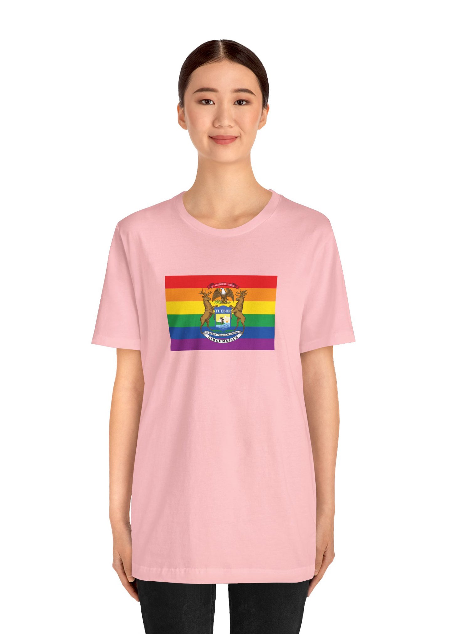 Michigan Rainbow Pride Flag T-shirt, Several Color Options
