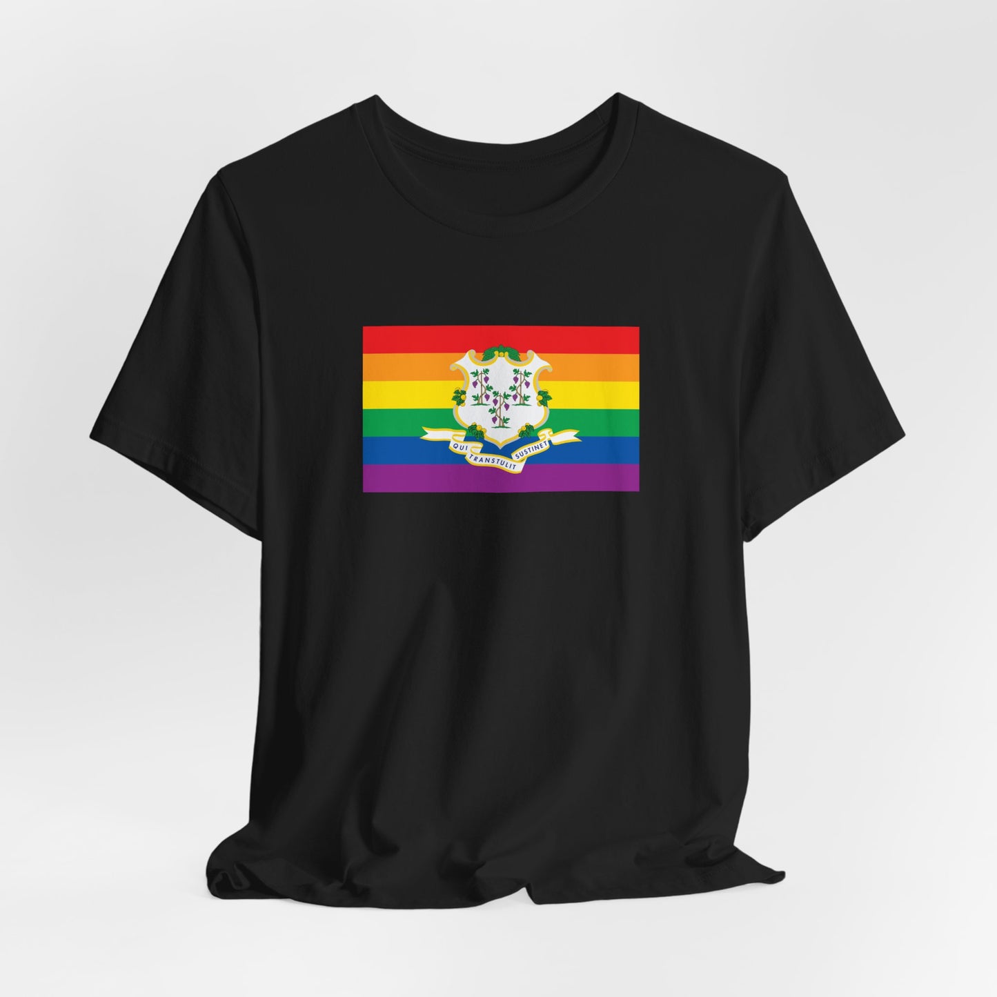 Connecticut Rainbow Pride Flag T-shirt, Several Color Options